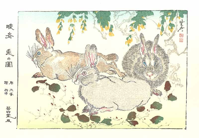 河鍋暁斎木版画ー兎-木版画 芸艸堂 Woodblock print UNSODO