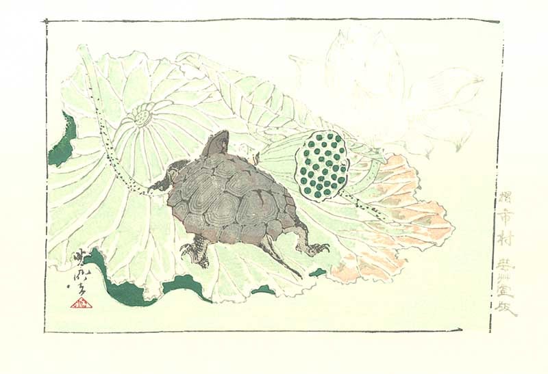 河鍋暁斎木版画ー亀