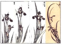 北斎名勝画譜全 木版画のことなら『木版画 版元 芸艸堂 Woodblock print』