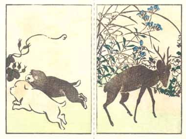 尾形光琳/菊花之図/扇面菊図/日本画/額/掛軸/掛軸/名家伝来/Y-838 尾形光琳/菊花之図/扇面菊図/日本画/額/掛軸/掛軸/名家伝来/Y