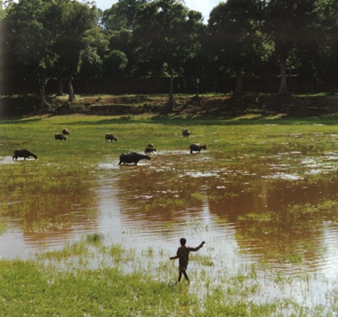 木版画のことなら『木版画 版元 芸艸堂 Woodblock print』