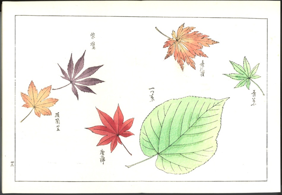 木版画のことなら『木版画 版元 芸艸堂 Woodblock print』