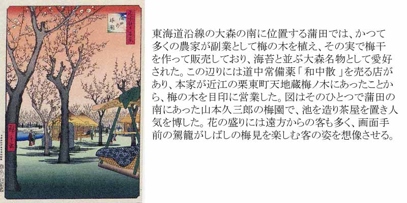 広重筆 名所江戸百景の内 「蒲田梅林」稀版浮世絵 大判 大江戸