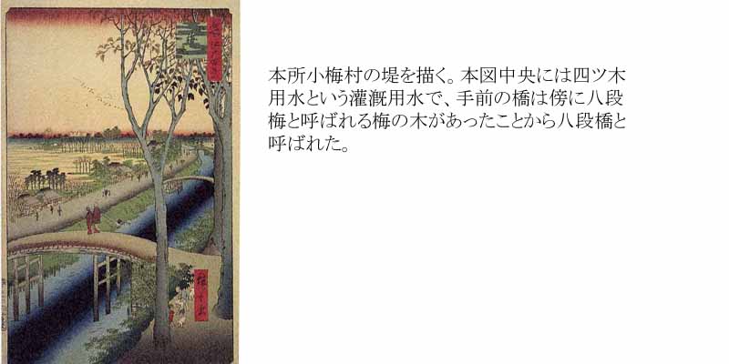 コクーン詩歌集の原画 コクーン詩歌集の原画