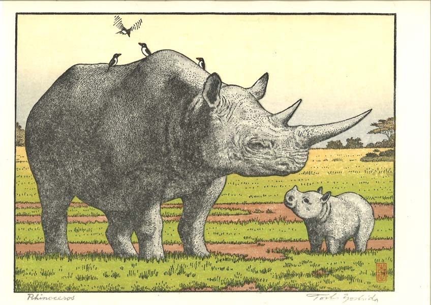 サイ Rhinoceros　