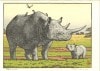 サイ Rhinoceros　|吉田遠志木版画 Toshi Yoshida Shin hanga|新版画　Shinhanga