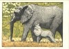 象　Elephant|吉田遠志木版画 Toshi Yoshida Shin hanga|新版画　Shinhanga