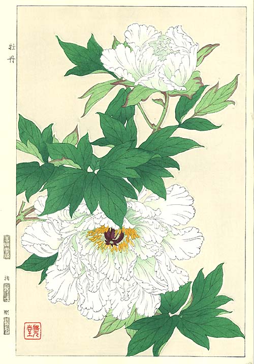 F008 ð ǲ Flower Woodcut Peony 