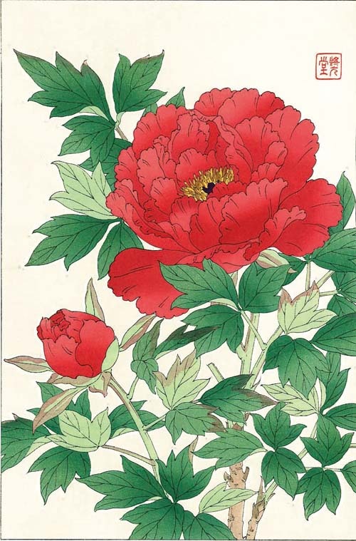 F011 ð ǲ Flower Woodcut Peony 