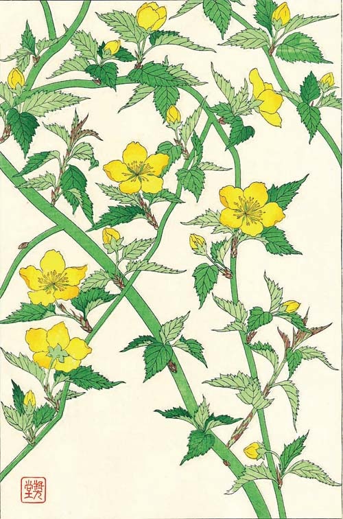 F026 山吹　花版画 Flower prints ‐ Japanese kerria ‐