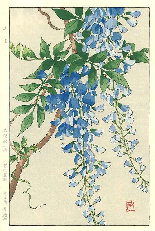 大菅祐一 芸艸堂 木版画 花の木版画　紅葉 木版画のことなら『木版画 版元 芸艸堂 Woodblock print』