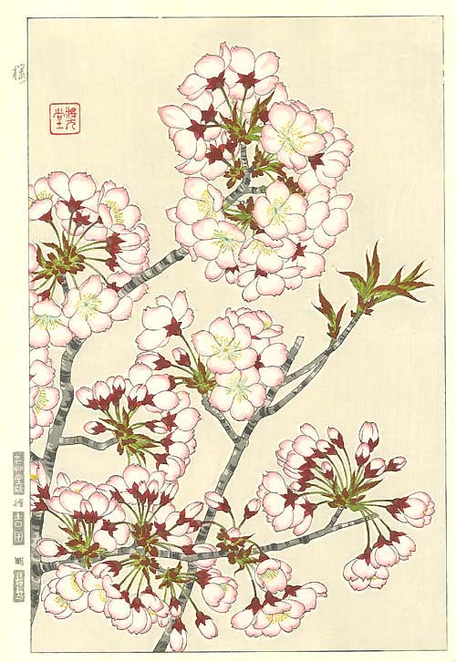 F019  ǲ Flower woodcut -Cherry-