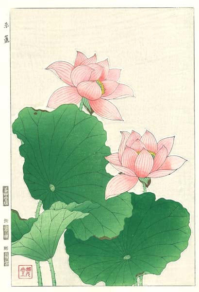和の花 高級ドライ】ラナンキュラス 茜てまり【赤/50cm】｜Flower Smith