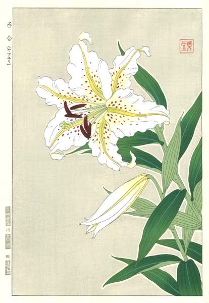 水彩画(てっぽうゆり)№139 Amazon.co.jp: 水彩画てっぽうゆり№139 7EOH : おもちゃ