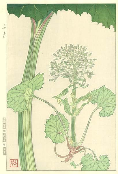 F145 ふき‐花版画 Flower Woodcut ‐Butterbur‐