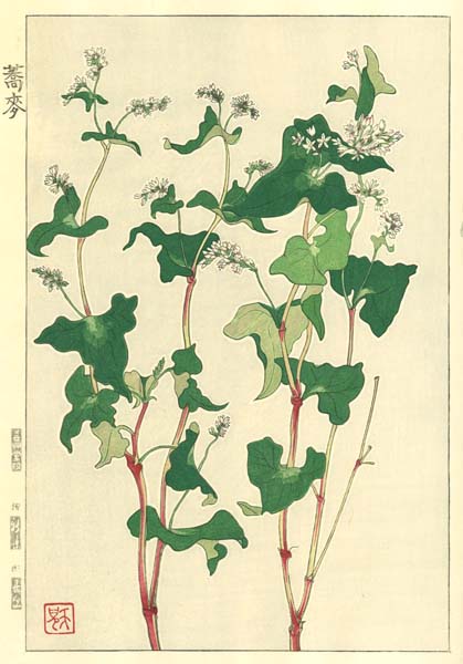 F153 そば 花版画 Flower Woodcut ‐Buckwheat‐