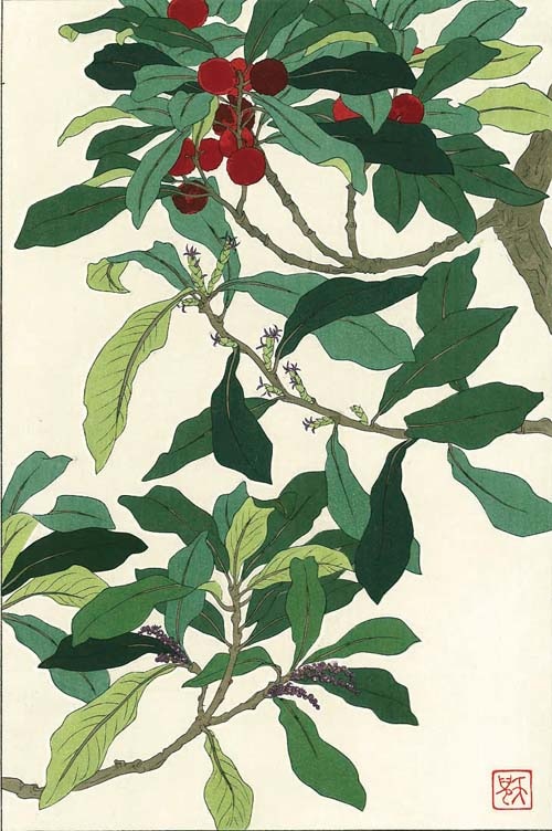 『しだれざくら』葛原輝　芸艸堂版　木版画　花版画 しだれざくら』葛原輝 芸艸堂版 木版画 花版画 - メルカリ