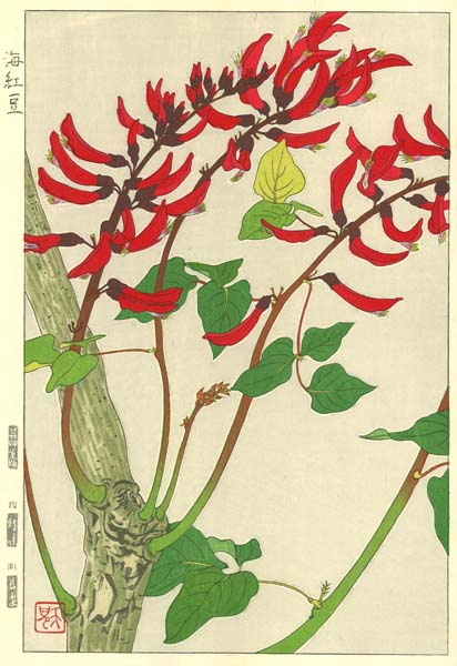 F172 でいご 花版画 Flower Woodcut ‐Coral tree‐