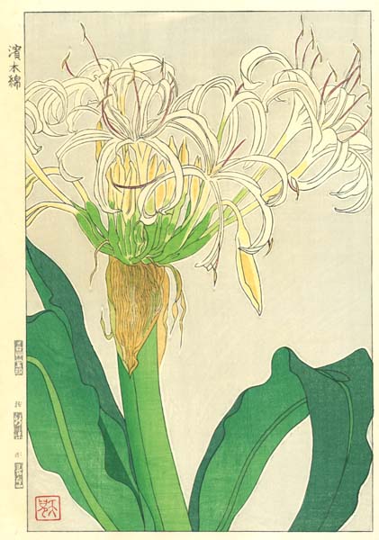 F155 浜木綿 花版画 Flower Woodcut -Beach lily-