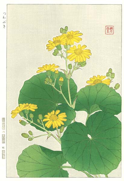 F044 ツワブキ　花版画 Flower Woodcut ‐Ligularia kaempferi‐