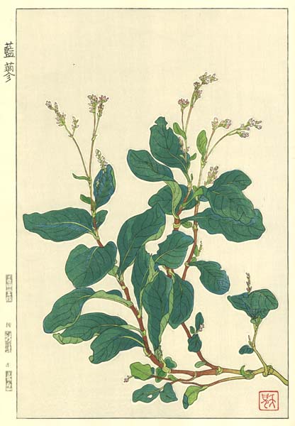 F162 藍 花版画 Flower Woodcut ‐Indigo‐