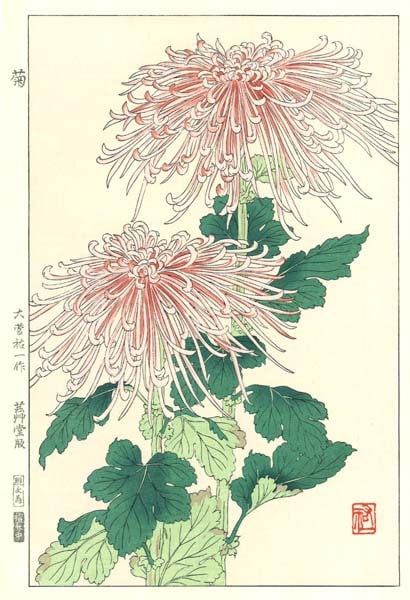 F180 ǲ Flower Woodcut Chrysanthemum 