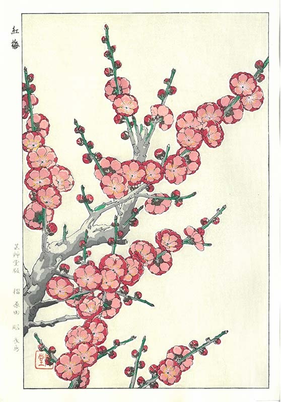 F022 ߡǲ Flower Woodcut Plum