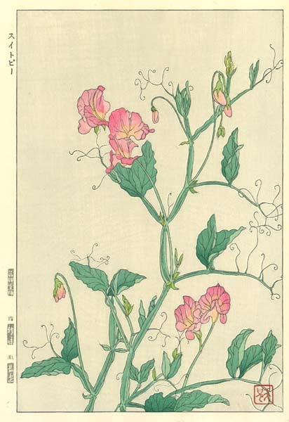 F173 スイ‐トピィ ‐ 花版画 Flower Woodcut ‐Sweet pea‐