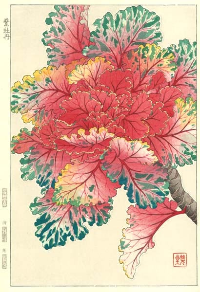 F128 葉牡丹 花版画 Flower Woodcut-Colewort-