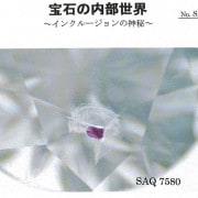【ガーネット・イン・ダイヤモンド】【超レア！】ガーネット結晶を内包 した希少ダイヤモンド【中央宝石研究所証明書付】 Pt.999婚約指輪