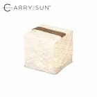 ����꡼������ CARRY THE SUN ��������饤�ȥߥǥ����� �֥�å��٥�� �ȿ�LED