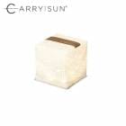 ����꡼������ CARRY THE SUN ��������饤�ȥ��⡼�� �֥�å��٥�� �ȿ�LED