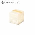 ����꡼������ CARRY THE SUN ��������饤�ȥ��⡼�� ����󥸥٥�� �ȿ�LED