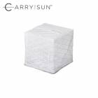����꡼������ CARRY THE SUN ������֥饤�ȥߥǥ����� �ۥ磻�ȥ٥�� ��LED