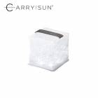����꡼������ CARRY THE SUN ������֥饤�ȥ��⡼�� �֥�å��٥�� ��LED