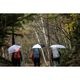 ���Х˥塼 EVERNEW �ȥ쥤�륷������ Trail Shade 