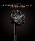 �롼��ʡ� �ե���ץ饤��  LUMENA FAN PRIME ������ USB����