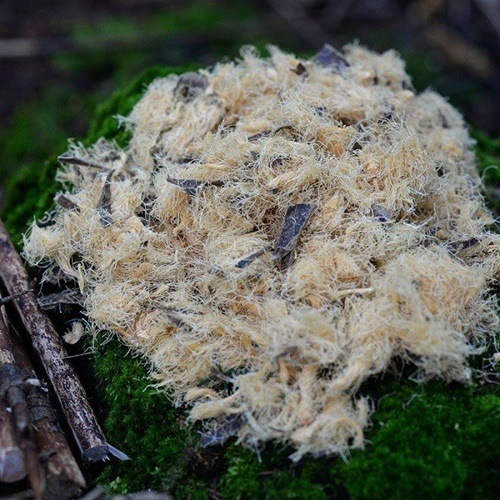 ץץƥå FAT ROPE STICK