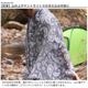 ���� Clef ������� �ӥå����ȡ��� VENTO BIG STOLE