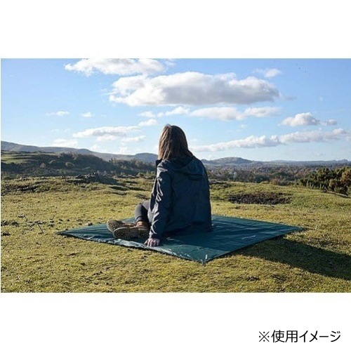 DDハンモック DD Magic Carpet