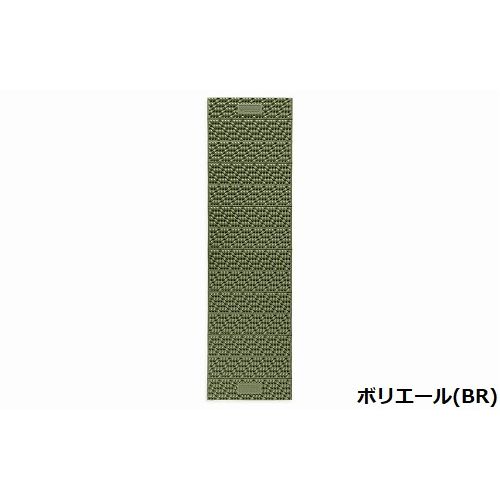 �ˡ��� NEMO �����å��Хå� Switchback �쥮��顼