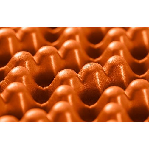 �ˡ��� NEMO �����å��Хå� Switchback �쥮��顼