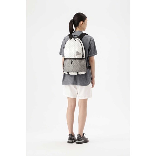 ����ɥ����� and wander  X-Pac 20L daypack