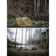 �ߥ˥ޥ����� MINIMAL WORKS �����륿��GH(�إ�ƥ���)  SHELTER GH(HERITAGE)  