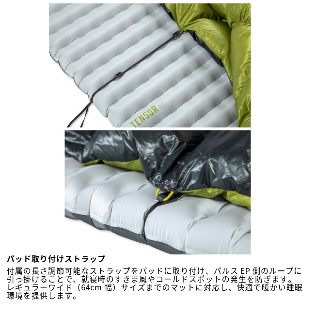 �ˡ��� NEMO �ѥ륹 20/30 ����ɥ쥹�ץ��ߥ� �쥮��顼 Pulse 20/30 Endless Promise Regular