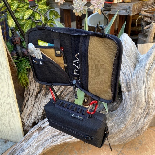 ���ץ꡼���� Aplysia CAMP Connect 002 �����ҡ�