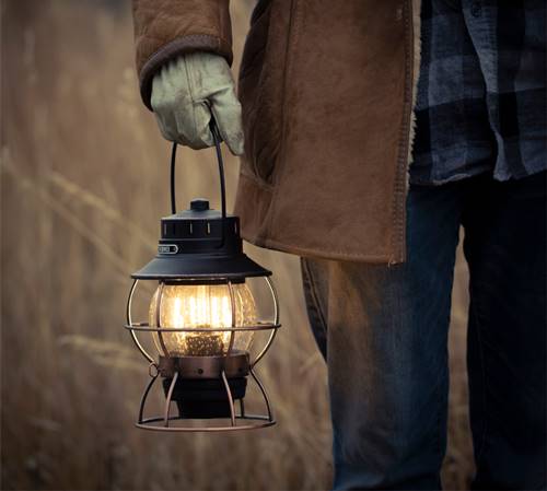 �٥��ܡ��󥺥�ӥ� Barebones Living  �쥤������ɥ�󥿥�LED ���꡼�֥ɥ��