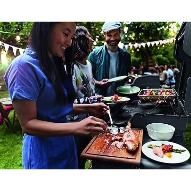 �������С� weber E-310 