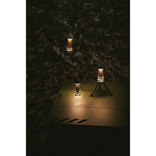 ����������ƥ� CARGO CONTAINER �ǥ奢��饤�ȥߥ� �١����� DUAL LIGHT MINI(BE)