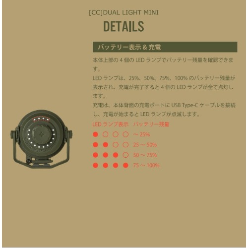 ����������ƥ� CARGO CONTAINER �ǥ奢��饤�ȥߥ� ������ DUAL LIGHT MINI(KH)
